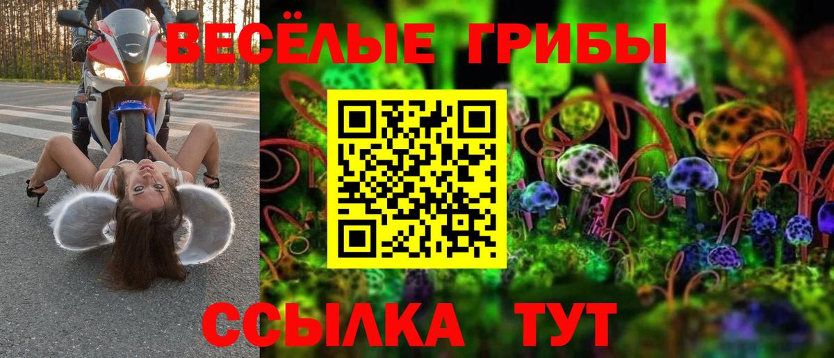 Светлоград  Галлюциногенные грибы GOLDEN TEACHER  где продают наркотики  Вход с VPN 