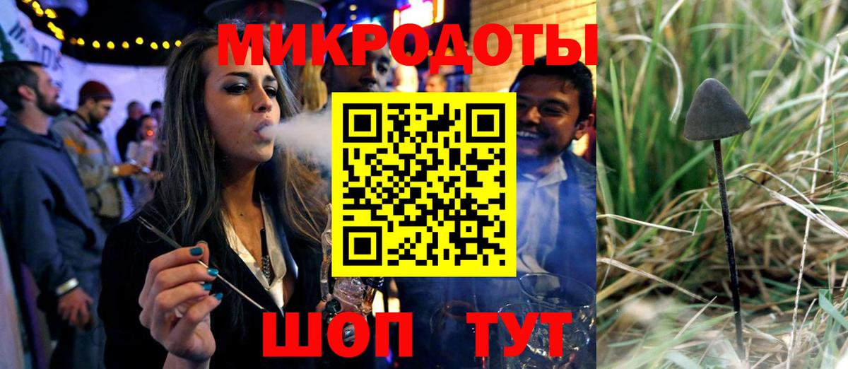 Галлюциногенные грибы прущие грибы Светлоград